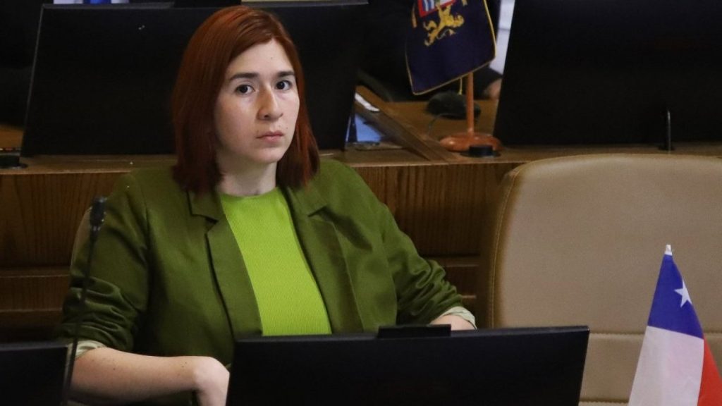 CDE se querella contra diputada Catalina Pérez por fraude al fisco