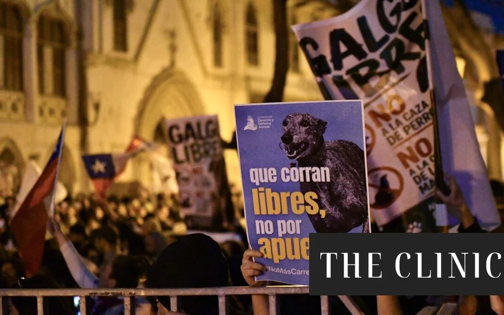 Cámara aprueba proyecto que prohíbe las carreras de perros y rechaza propuesta que buscaba regularlas