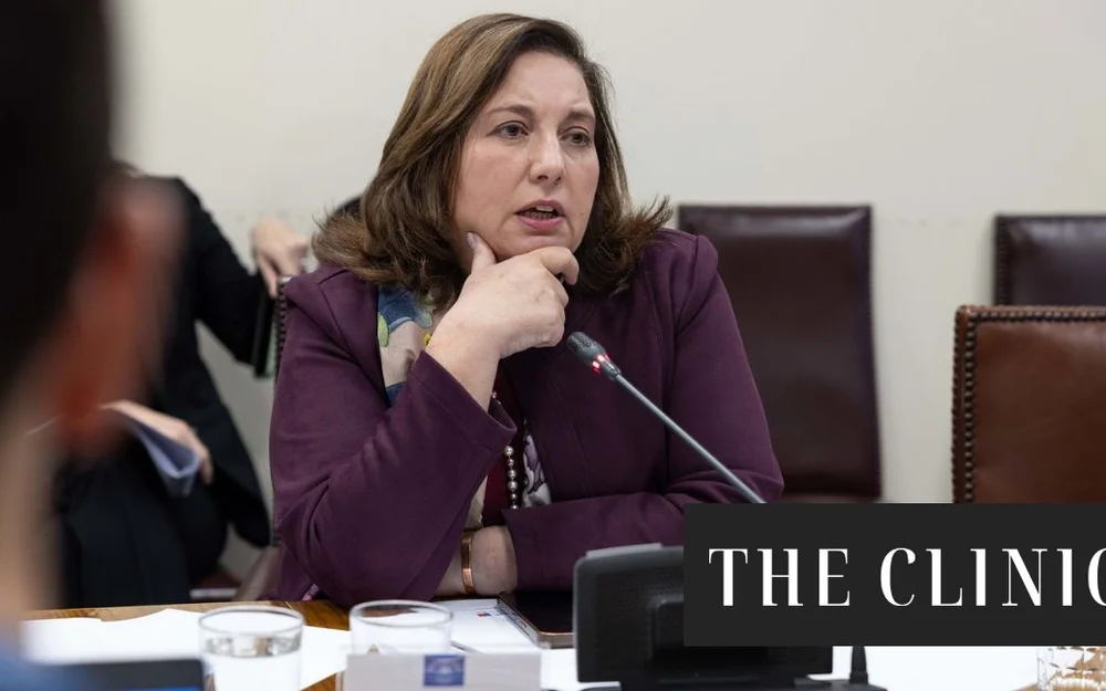Entre La Moneda y la oposición: el rol clave que asume Paulina Vodanovic (PS) ante la reforma constitucional de seguridad