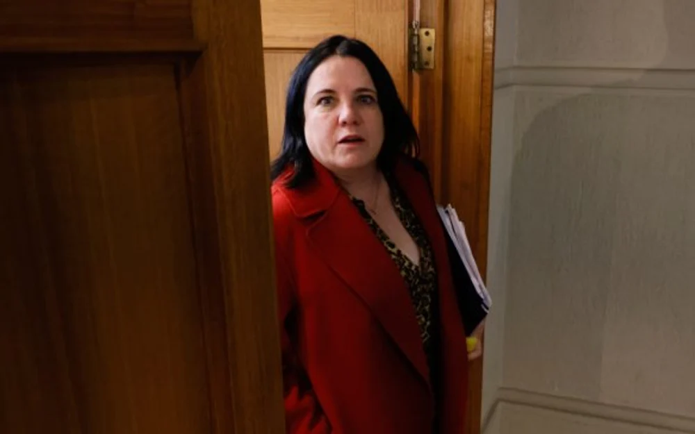 Steinert no asistió a comisión investigadora citada a horas del plazo fatal para presentar una AC