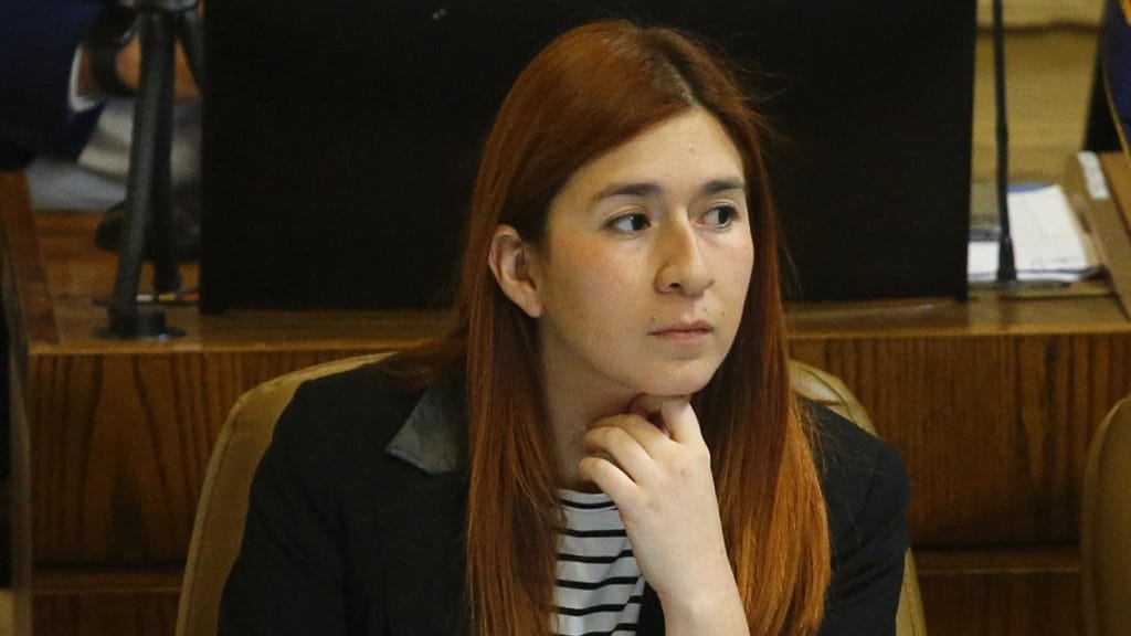Corte de Apelaciones aprueba desafuero de la diputada Catalina Pérez