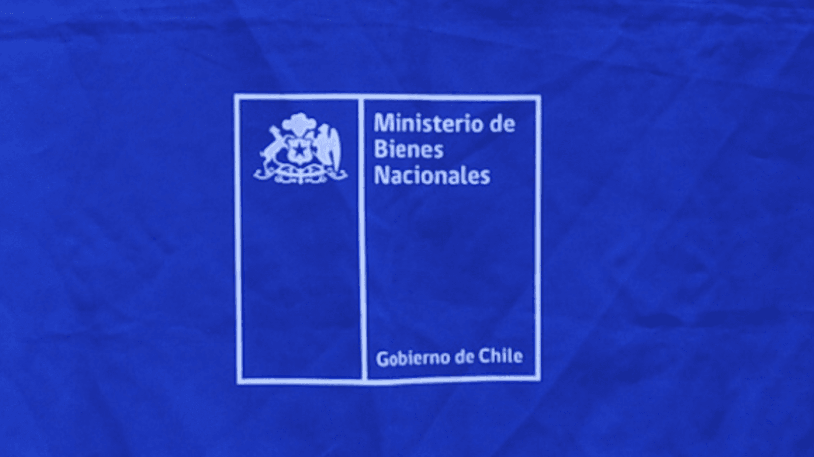 Macarena Diez: renuncia jefa de División Jurídica de Bienes Nacionales