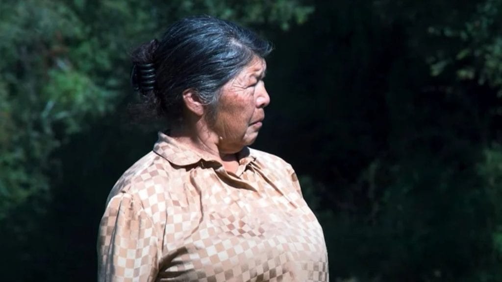 ¡Urgente! Activan protocolo global para hallar a Julia Chuñil