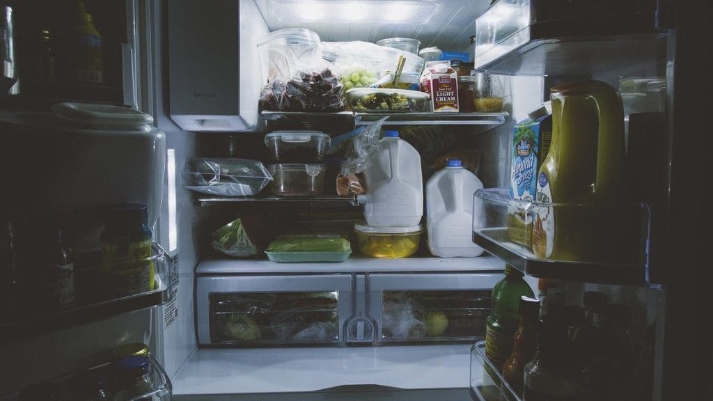 Apagón en Chile: ¿Qué guardar o botar de tu refrigerador? Guía clave