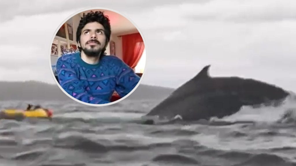 Milagro en el Estrecho: Joven sobrevive tras ser tragado por ballena