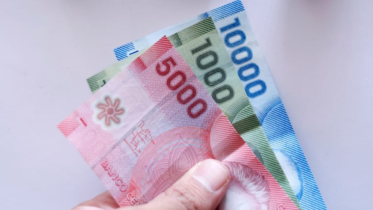 PGU tuvo su reajuste anual: Revisa el nuevo monto que podrás recibir