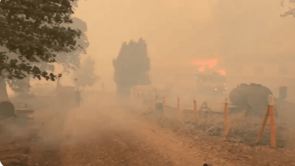 Evacuación Urgente: Incendios Devastan Biobío y La Araucanía