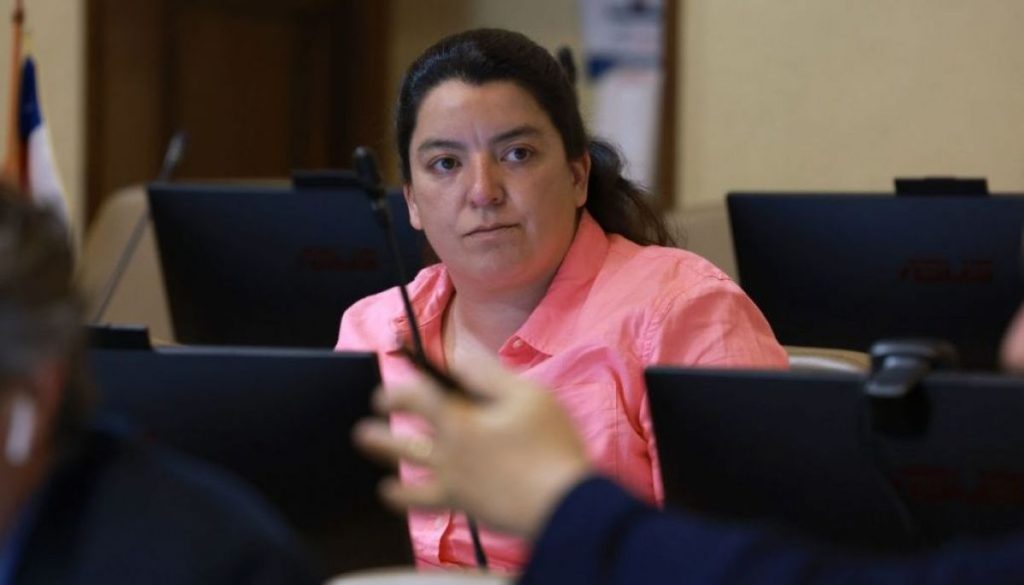 Subsidio Recambio de Calefactores – Piden Aumentar Subsidios de Recambio de Calefactores