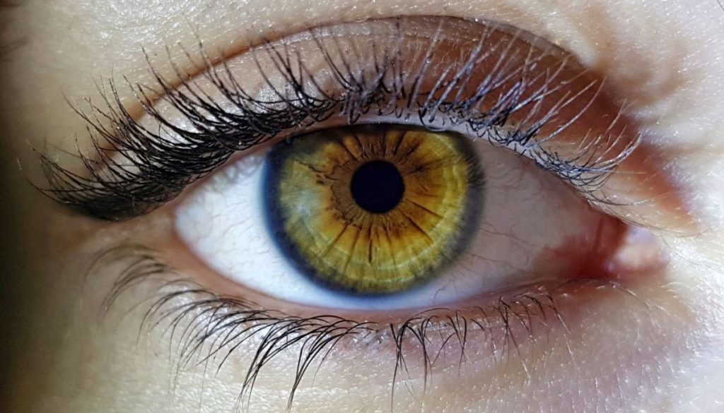 Olo: El Color Inédito Percibido por 5 Personas Gracias a la Ciencia