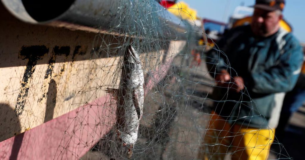 Reconfiguración del Mapa de la Pesca Industrial en Chile para 2025