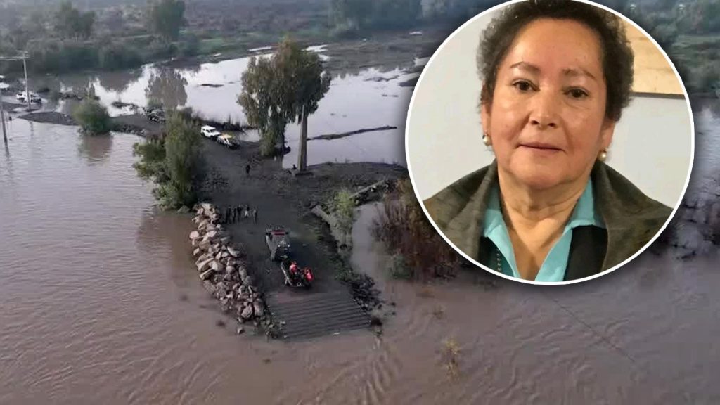 Búsqueda de Concejala en Villa Alegre se Intensifica: Sospechas de Crimen