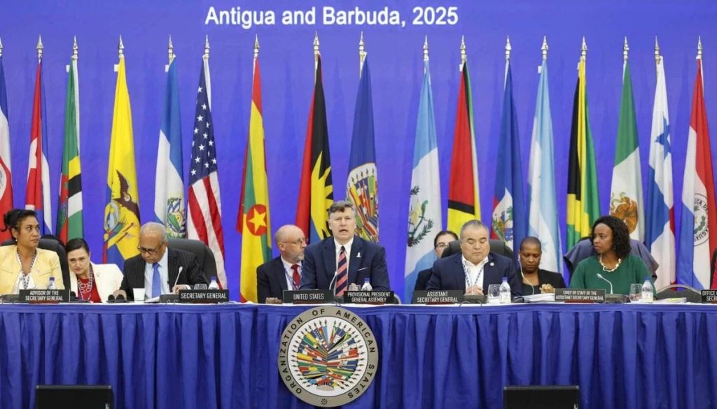 EE.UU. Cuestiona la Relevancia de la OEA ante Crisis Regional