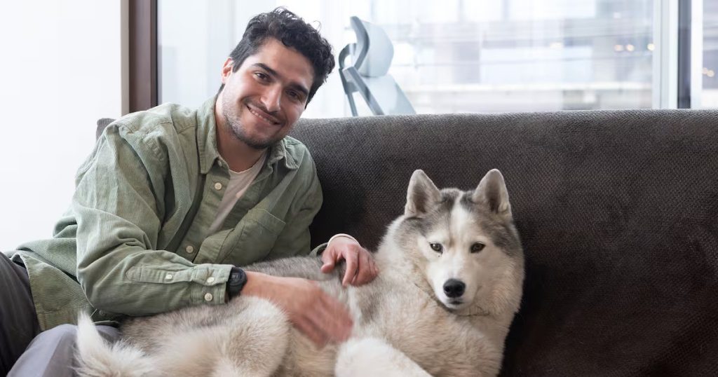 Loki: El Perro en la Oficina que Revoluciona el Ambiente Laboral