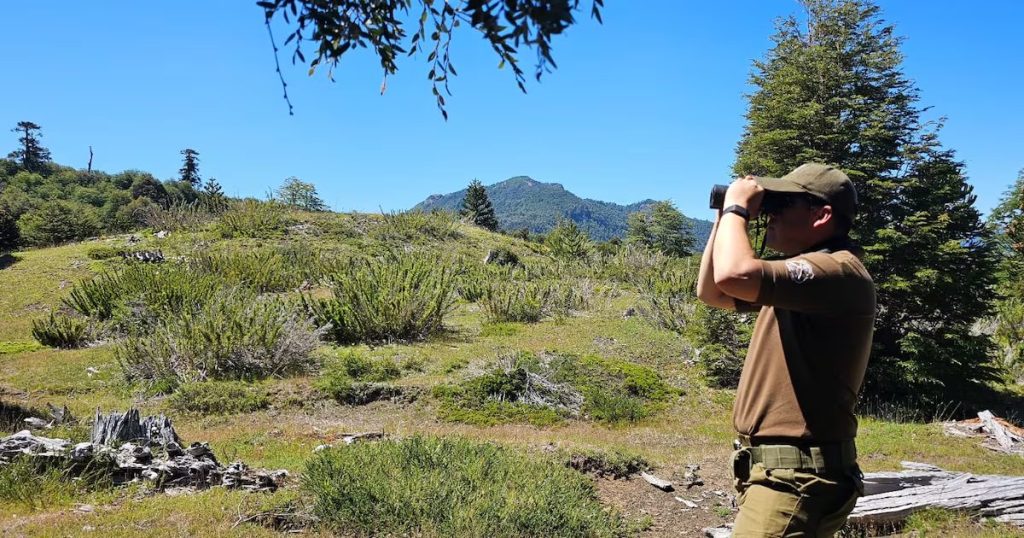 Encuentran a Niñas Desaparecidas de Toltén Sanas y Salvas