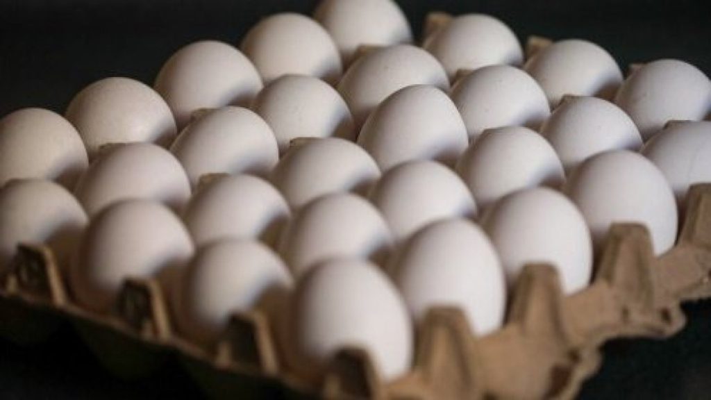 Impacto de la Gripe Aviar: Aumento del Precio Huevo en Chile