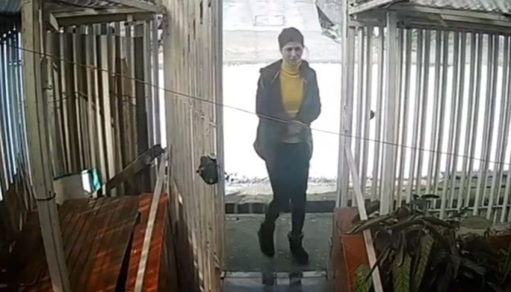 Asalto a anciana en Lota: una tragedia que estremece