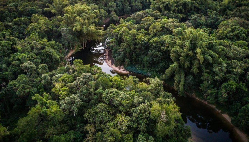 Avances Medioambientales Clave de 2024 que Marcan Tendencia