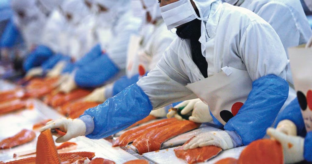 Industria Salmonera en Chile: Retos y Logros Ambientales