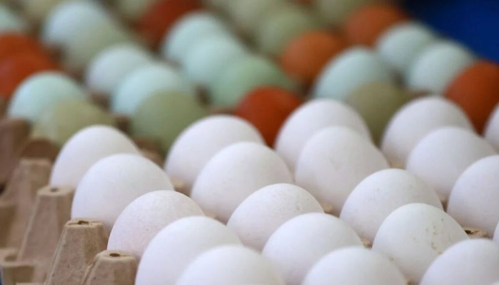 Estrategias para Identificar Huevos Peligrosos de Contrabando