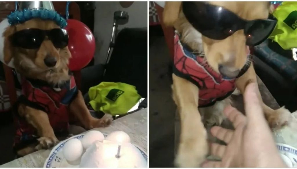 Cumpleaños de Julio el Bakán: La Fiebre Viral en Curicó