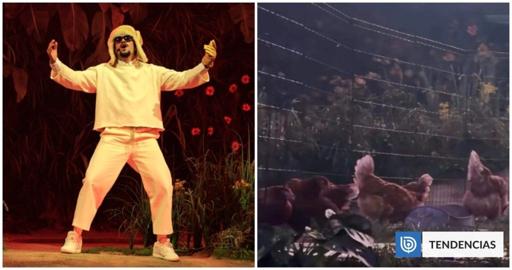 Bad Bunny en el Ojo del Huracán: PETA Denuncia el Uso de Gallinas