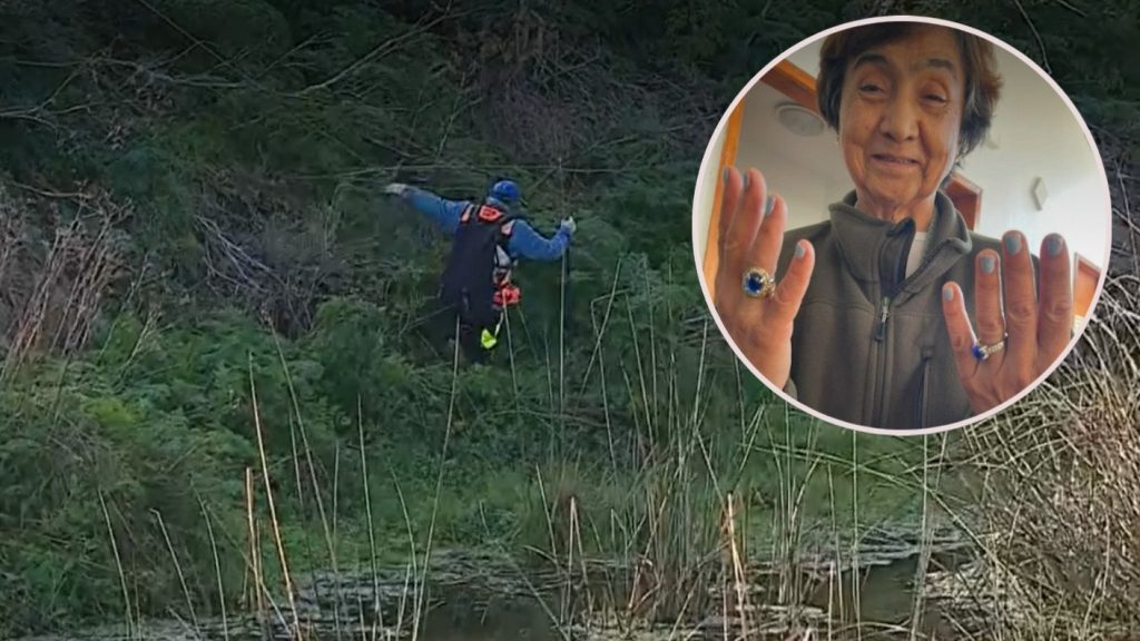 Desaparición de una Adulta Mayor en San Antonio: Misterio en Llolleo.