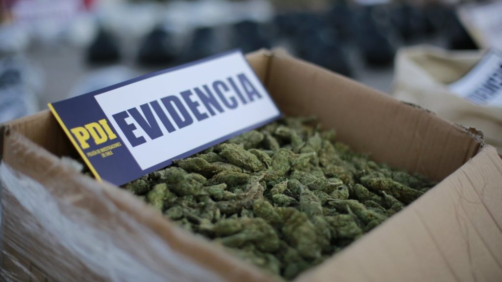 Octogenaria Capturada por Microtráfico Cerca de Escuela en Lota