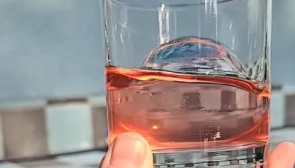 Innovación Chilena Revoluciona el Empaque de Hielo Sustentable