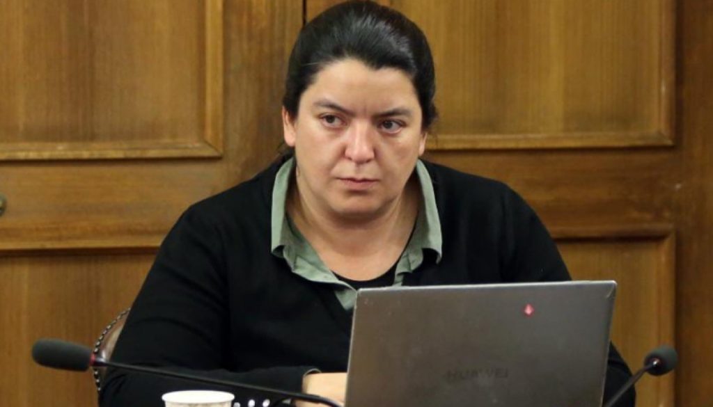 Eliminación del Pase Diario Único genera controversia en Chile