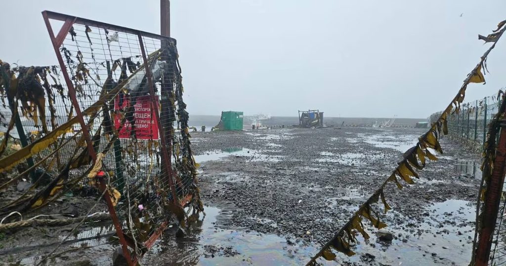 Tsunami afecta costas de Rusia y Japón tras fuerte sismo