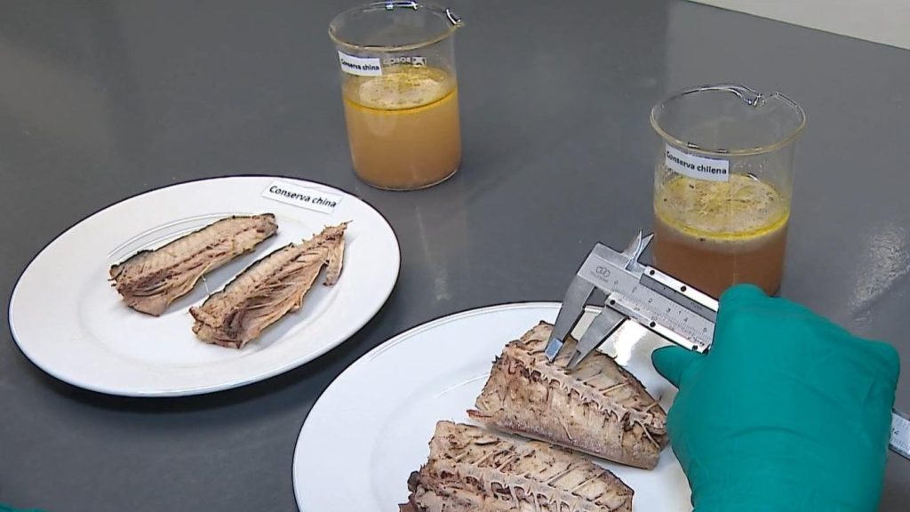 Controversia por Presunta Venta de Jurel Falso en Chile