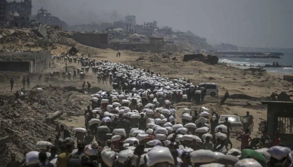 Impacto Humanitario en Gaza: Pausas Humanitarias Insuficientes