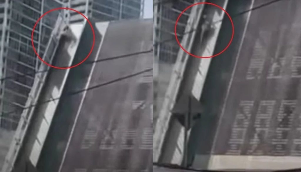 Mujer Cae de Puente en Miami: Impactante Accidente en Brickell