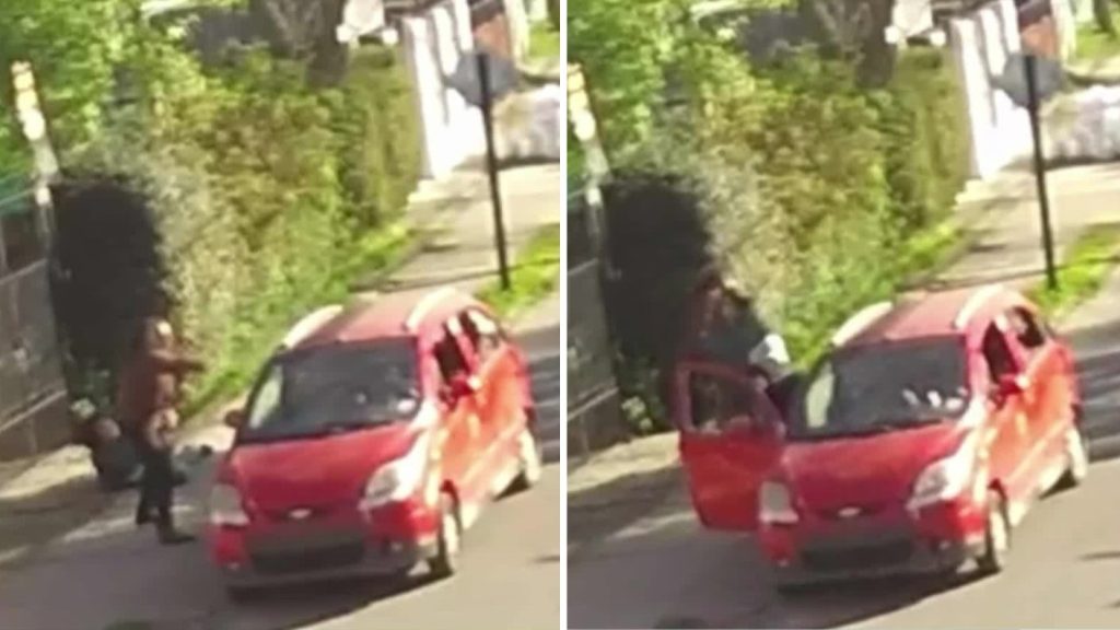 Mujer valiente frustra asalto con pimienta: detenido de 13 años.