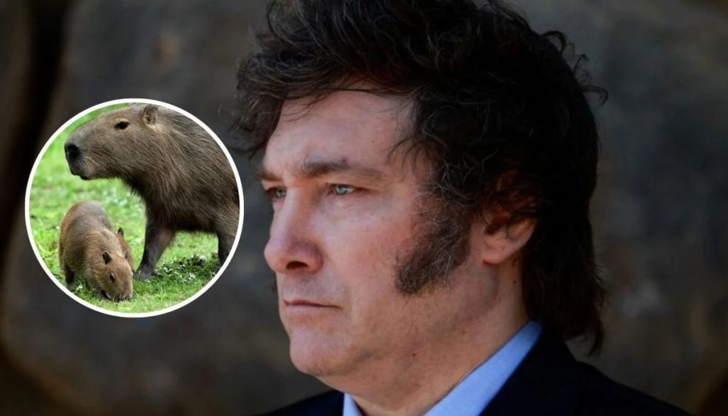 Gobierno de Milei planea isla santuario para capibaras