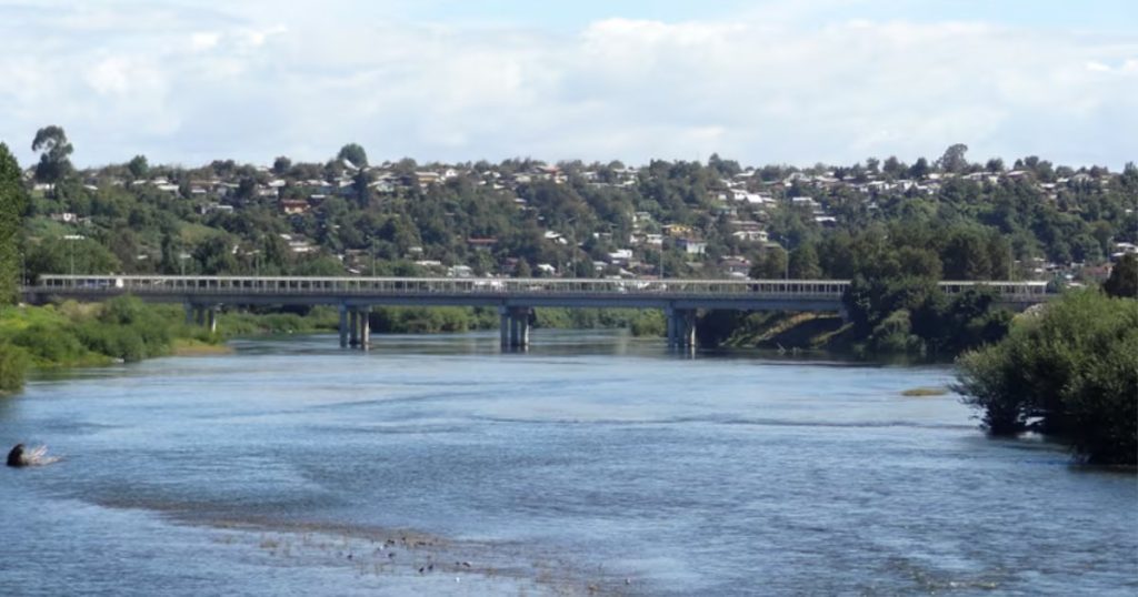 Crecida del Río Rahue: Alerta Roja en La Araucanía por Emergencia Climática