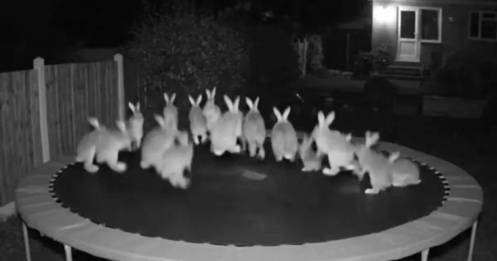 Cómo la IA desafía nuestra percepción de la realidad en videos.