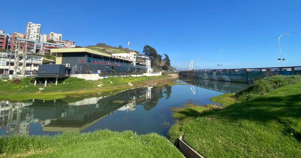 Estero de Reñaca: Un Refugio Natural Urbano en Chile