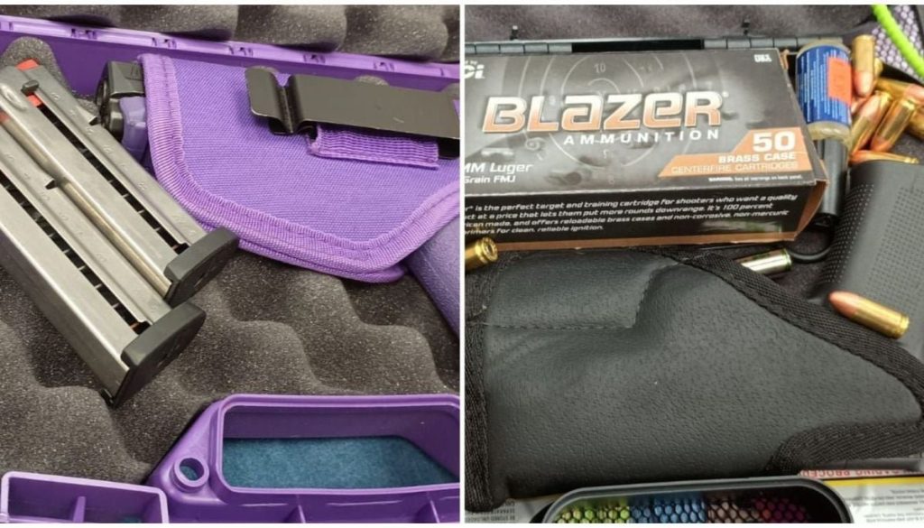 Peluqueras caninas de EE.UU. detenidas en Chile con armas y drogas.