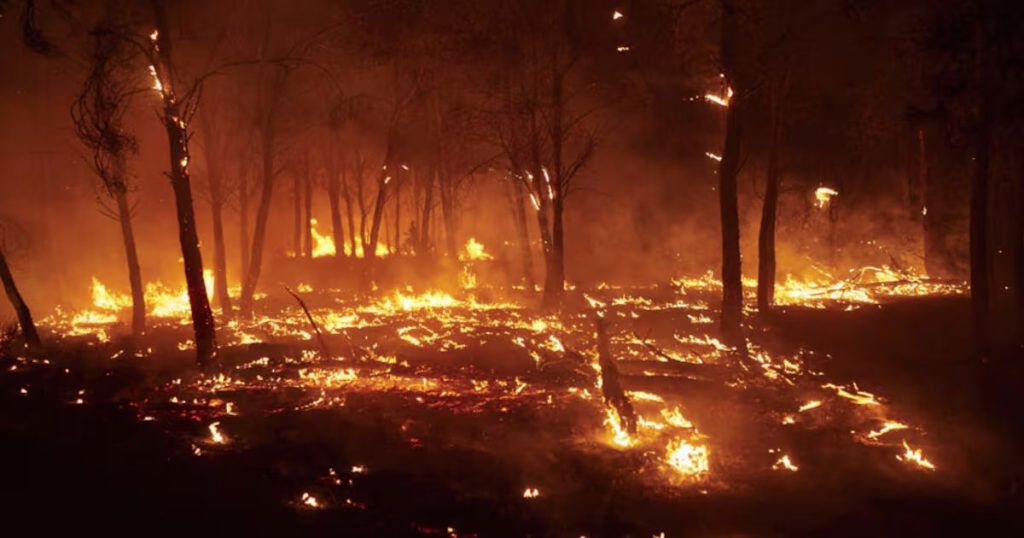 Incendios Devastan España en Plena Ola de Calor Extrema