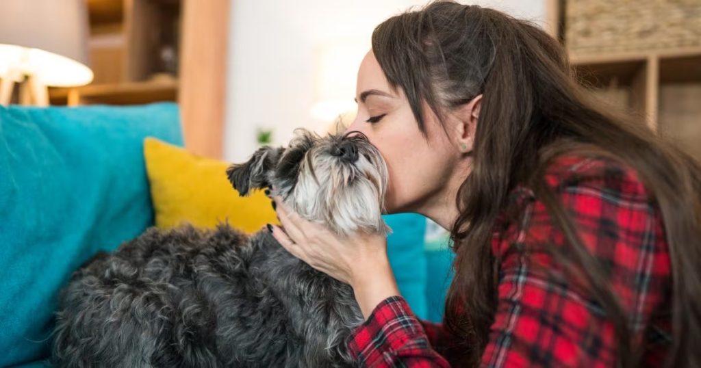 Permiso laboral por duelo de mascota avanza en Chile