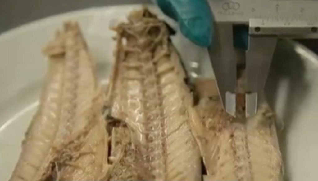 Marcas de jurel en Chile: retiros y regulaciones recientes