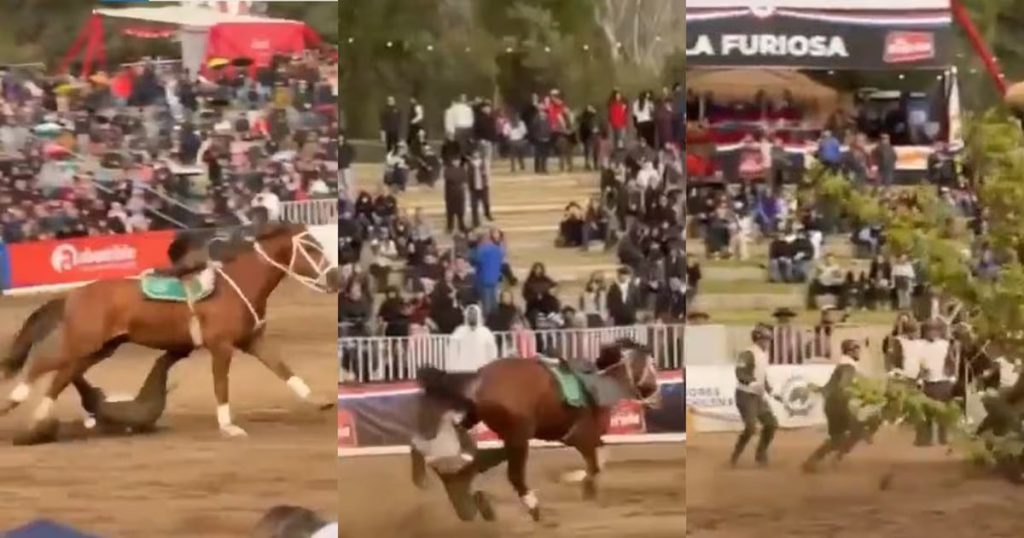 Carabinero sufre caída en show ecuestre en Santiago