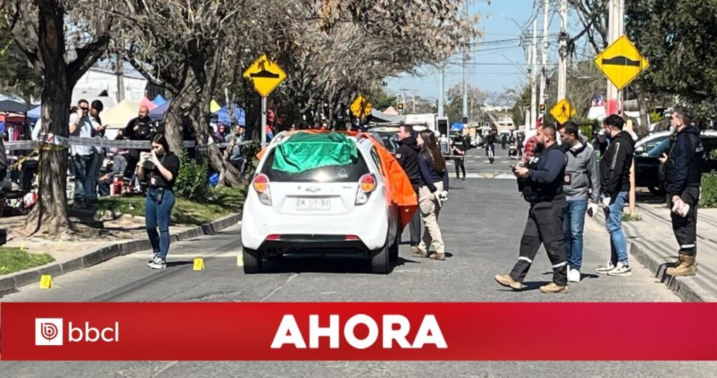 Conmoción en Peñalolén: conductor fallece tras brutal ataque