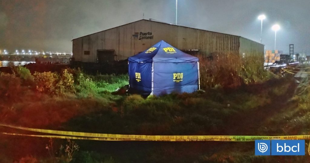 Audiencia clave en el caso de femicidio de Nicole Breve en Coronel