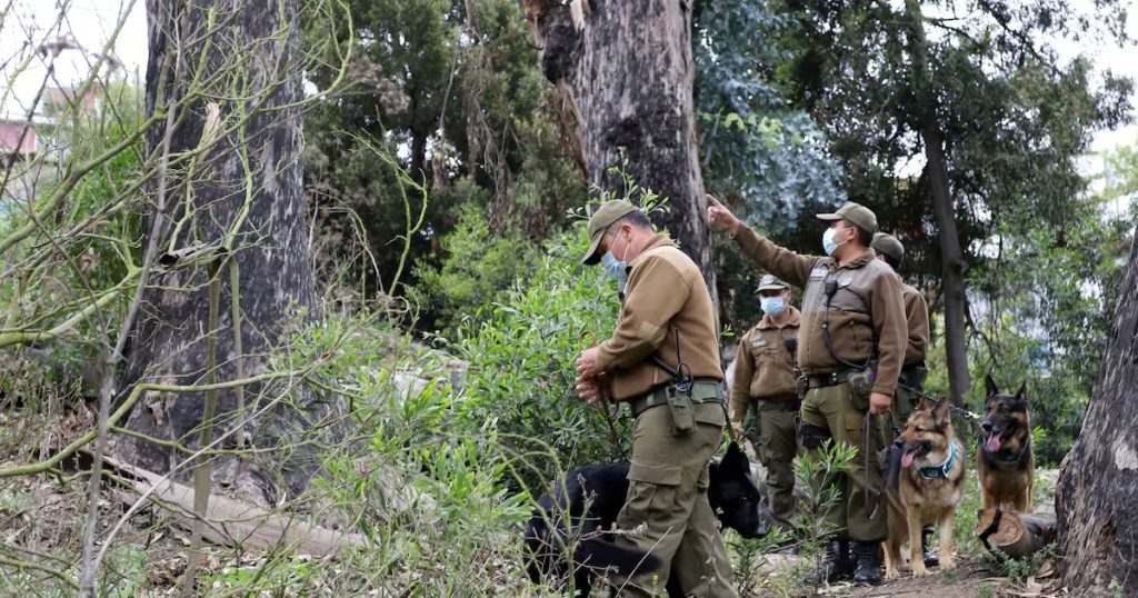 Desaparición de hombre de 84 años en el río Cato genera alarma social.