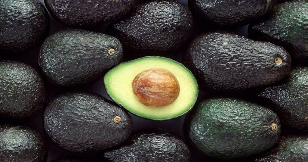 Chile y Argentina: Auge Comercial por la Desregulación y Oportunidades