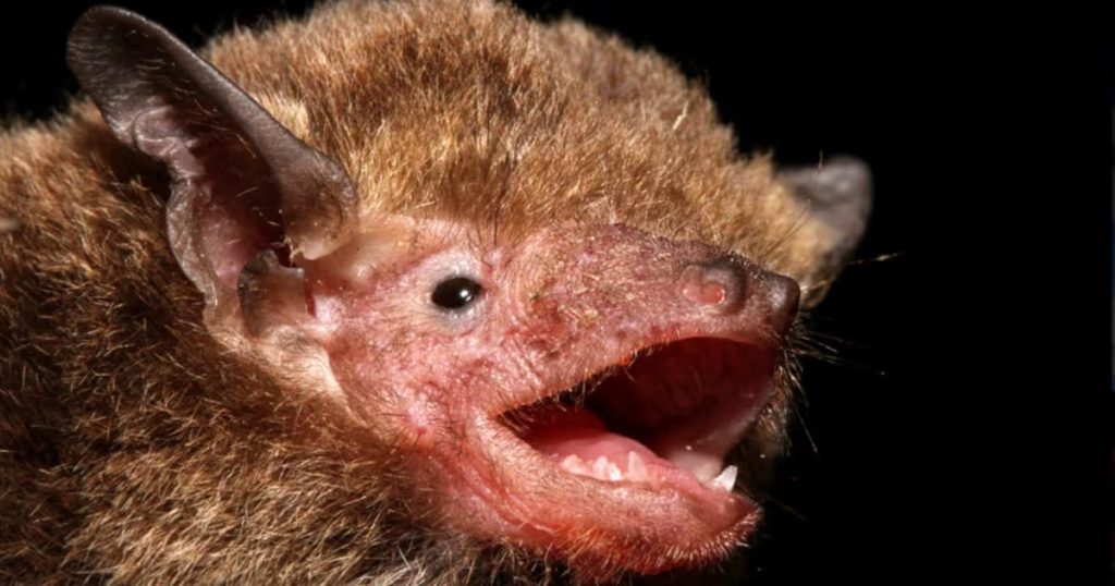 Nuevo coronavirus en China: ¿será el próximo desafío global?