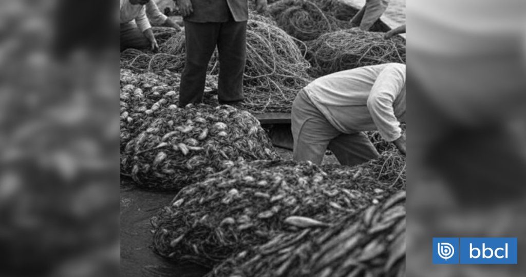 Graves abusos laborales en flotas pesqueras argentinas cercanas a Chile