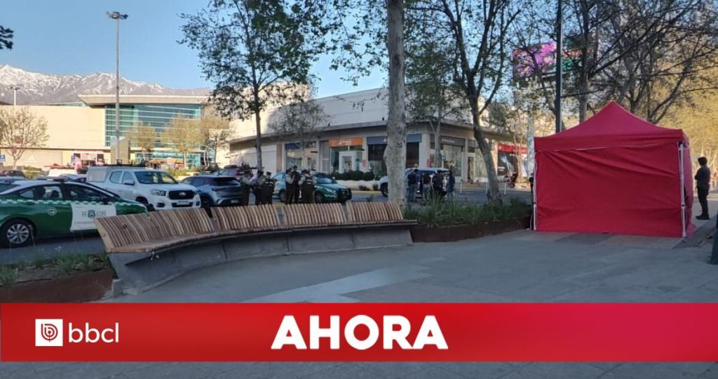 Fatal incidente en Mall Plaza Vespucio: hombre muere tras intervención de guardias.
